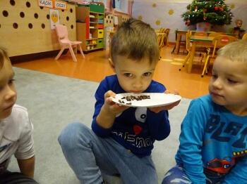 DSC00791 (Copy).JPG